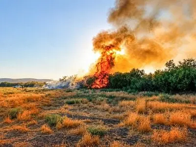 مهار آتش سوزی در نیزارهای تالاب نوروزلوی میاندوآب/۴۰۰۰متر مربع از نیزارها دچار خسارت شد