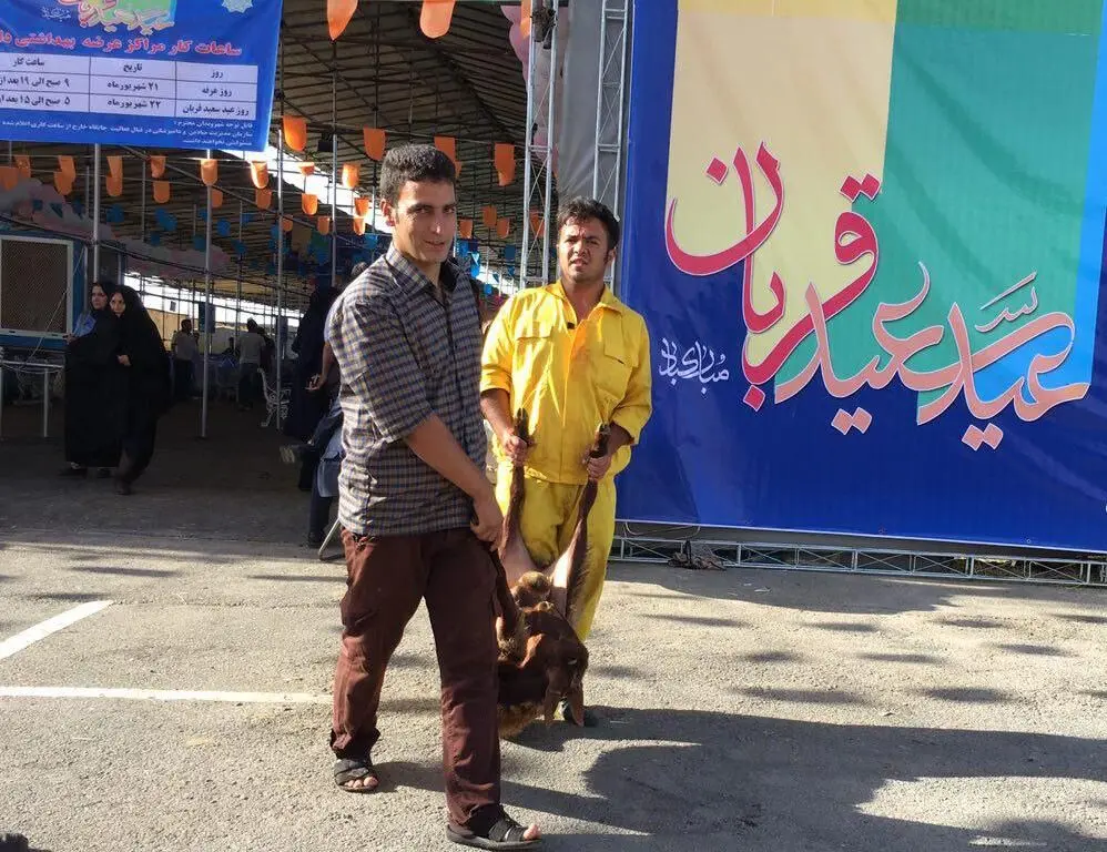 روز پر رفت‌ و آمد کشتارگاه‌های سطح شهر تهران