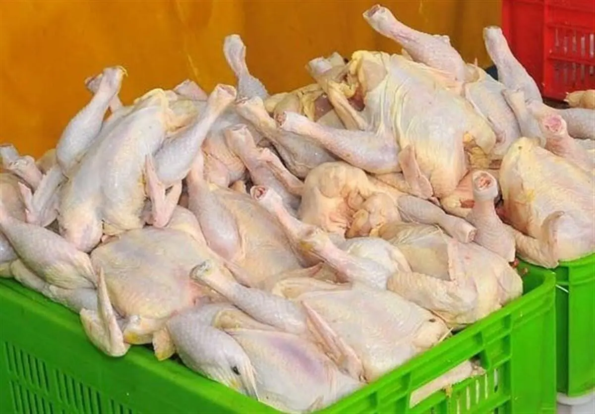 ممنوعیت خروج مرغ زنده و گوشت مرغ از آذربایجان غربی