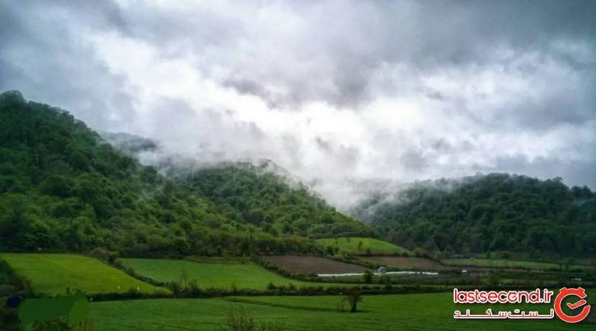 کمبود ۷۰ قرق بان در گلستان