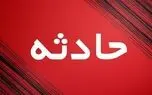 آتش‌سوزی چند درخت در حوالی ورزشگاه انقلاب/ بی‌احتیاطی کارگران ساختمانی سبب آتش سوزی شد