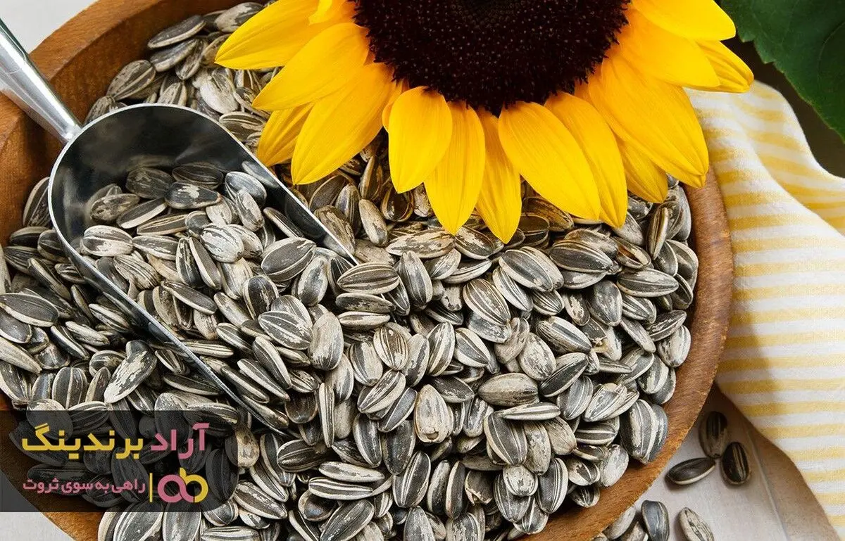 تخمه آفتابگردان ریز را از چه مراکزی تهیه کنیم؟