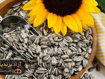 تخمه آفتابگردان ریز را از چه مراکزی تهیه کنیم؟