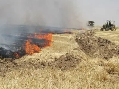 آتش زدن کاه و کلش مزارع پس از برداشت ممنوع است