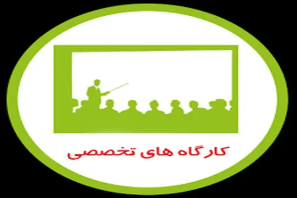 تشکیل ورکشاپ های تخصصی در حاشیه دومین جشنواره بین المللی پانتومیم در زنجان 