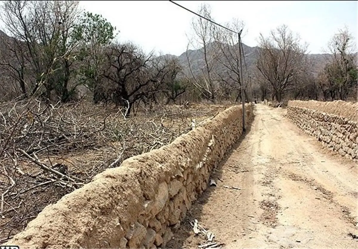 اشتغال اتباع بیگانه در بخش کشاورزی اردستان/  کشاورزان اردستانی حال  و روز خوشی ندارند. 