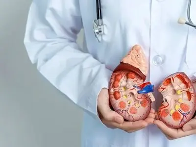 سه بیماری خاص و خطرناک که کلیه‌ ها را از کار می‌اندازد