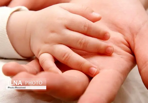 افزایش نرخ تولد فرزند سوم و چهارم در بین خانواده‌های قزوین