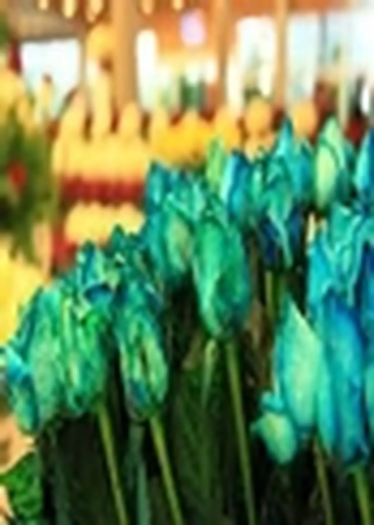 نمایشگاه تخصصی ماشین آلات، گل و گیاه ونهادهای کشاورزی در آمل گشایش یافت