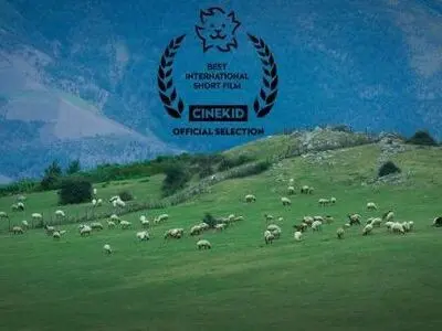 «گوسفند» به جشنواره «سینه کید» هلند راه پیدا کرد
