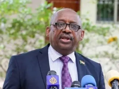 وزیر دفاع سودان درگذشت