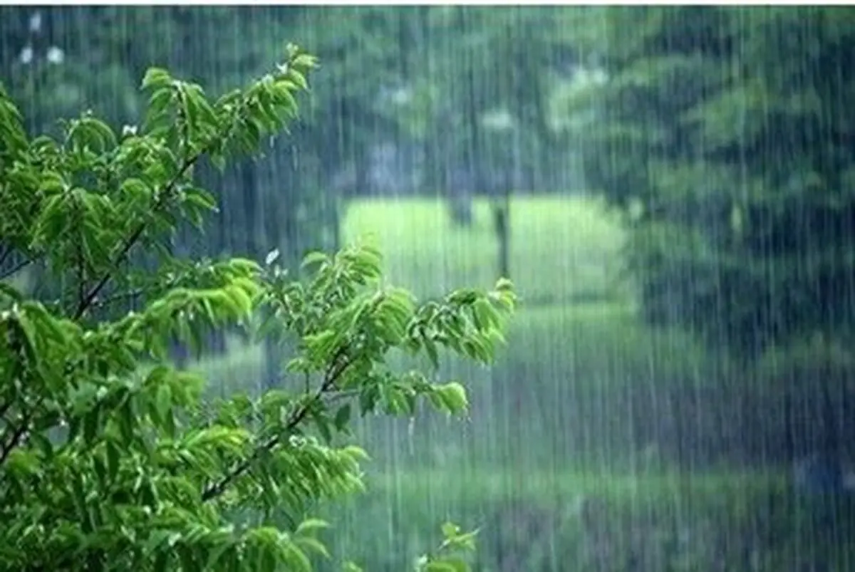 نیمه غربی کشور  میزبان برف و باران

