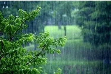 نیمه غربی کشور  میزبان برف و باران

