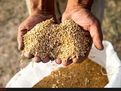 خرید تضمینی با منت در سال حمایت از تولید ملی