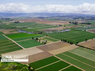 Mazandaran exports 15,000 tons of agri. products in 5 months