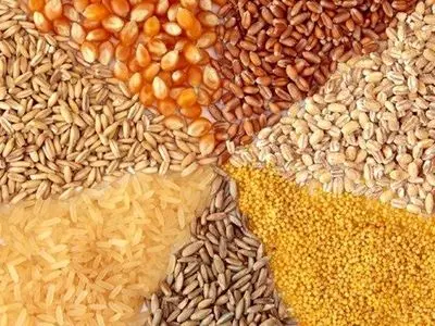 افزایش 100 درصدی صادرات خوراک طیور از استان مرکزی به خارج کشور