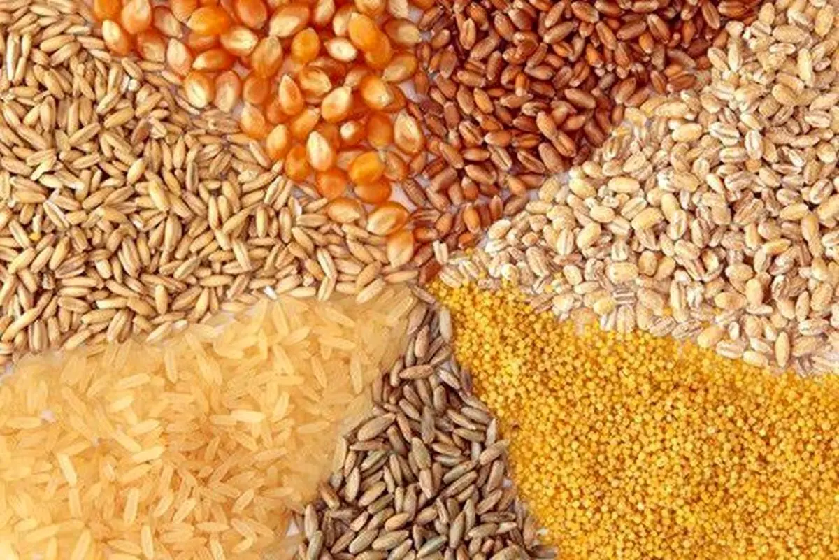 افزایش 100 درصدی صادرات خوراک طیور از استان مرکزی به خارج کشور