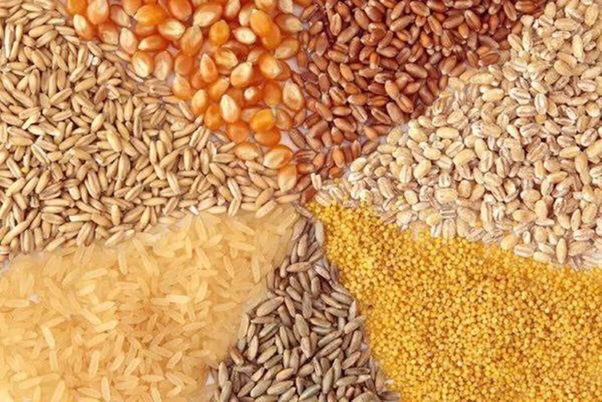 افزایش 100 درصدی صادرات خوراک طیور از استان مرکزی به خارج کشور