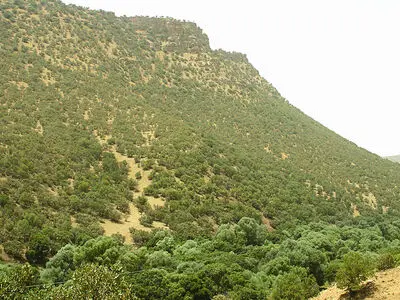 افزایش ۷۰ درصدی تولید مستندهای حیات‌وحش در ایران