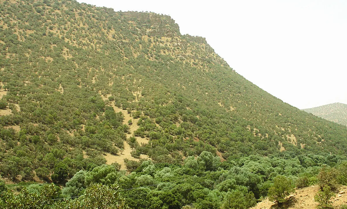افزایش ۷۰ درصدی تولید مستندهای حیات‌وحش در ایران