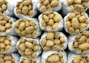 صادرات سیب‌زمینی تا پایان سال ممنوع شد