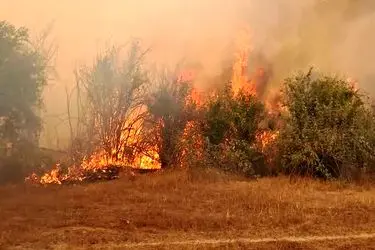 وقوع 2 حادثه آتش‌سوزی دیگر در تالاب میانکاله استان مازندران
