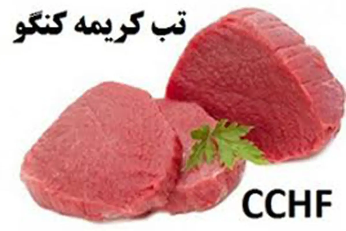 برگزاری‌کلاس‌های آموزشی آشنایی با بیماری تب‌کریمه کنگو ویژه روستائیان در لنگرود 