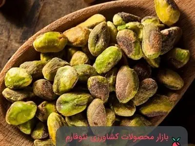 خرید پسته و فروش پسته بدون واسطه در نئوفارم