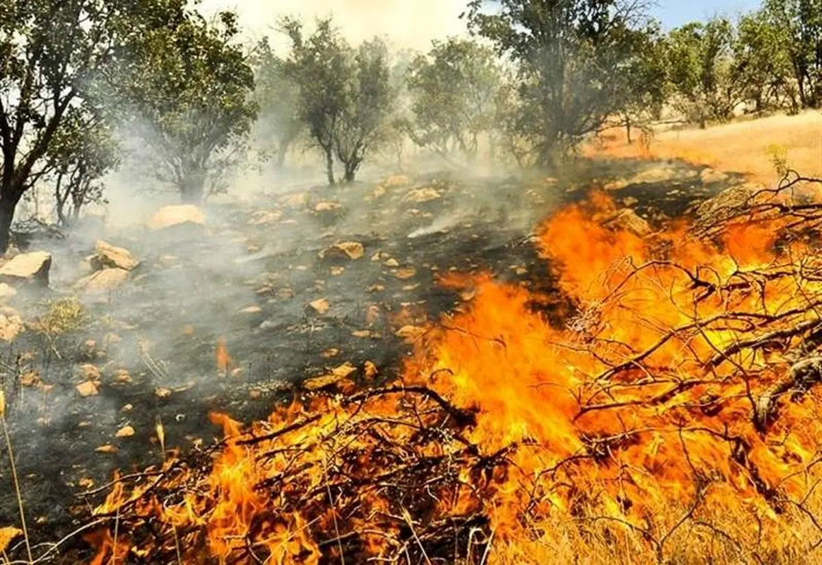 آتش سوزی جنگلهای بهره عنا بخش بوستان در باشت همچنان ادامه دارد