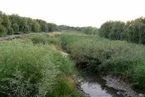 شهرچای ارومیه، رودخانه‌ای که به بیشه‌زار تبدیل شده است/ پاییز در راه است، مسئولان کجای ماجرا هستند؟