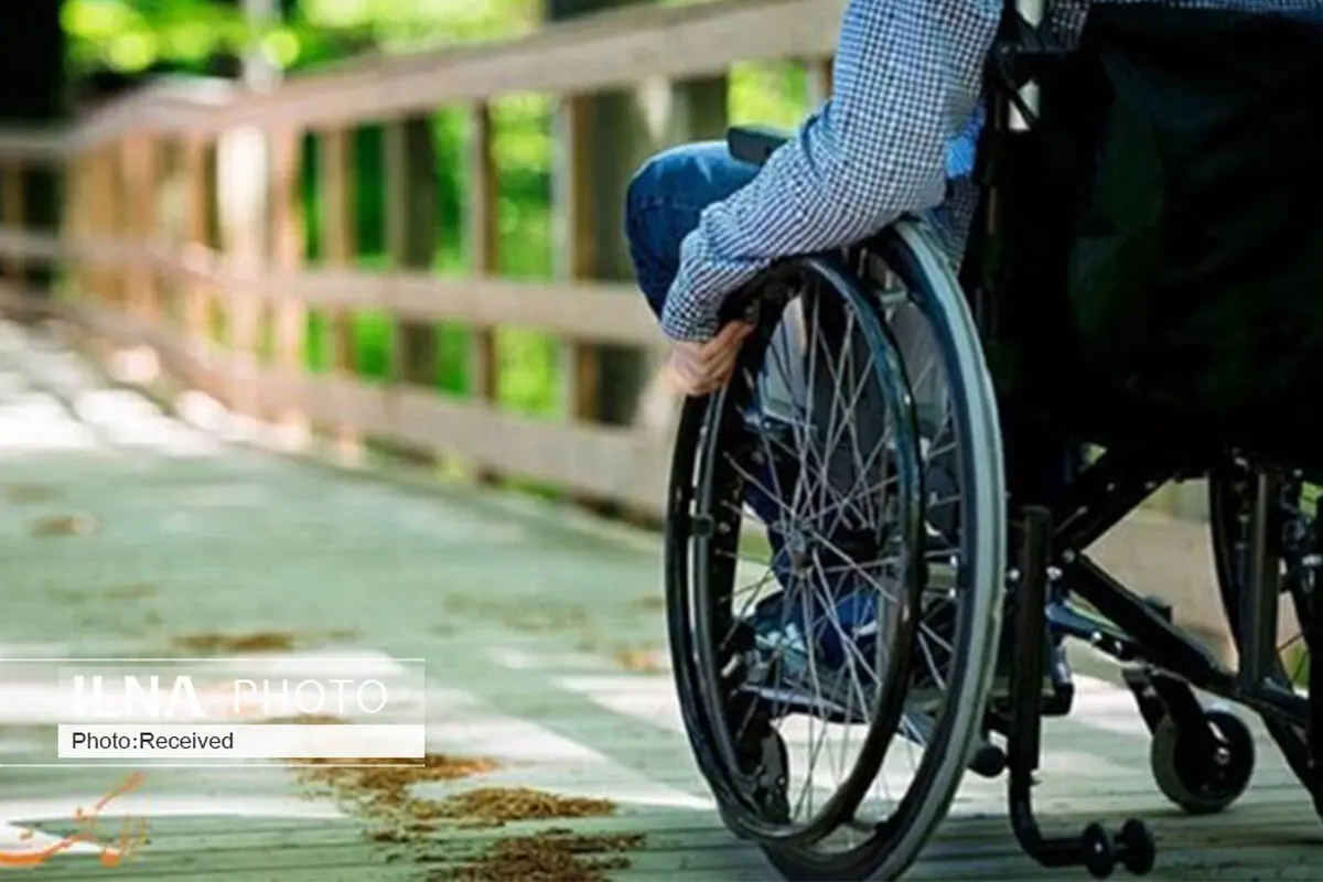 اجرای ۲ طرح مراقبتی و توانبخشی معلولان در لامرد
