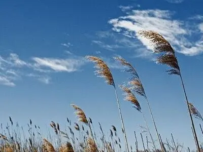 هشدار سطح نارنجی/ افزایش دمای هوا در گیلان به همراه وزش باد گرم