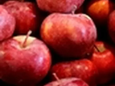 استفاده از واکس میوه مجاز است