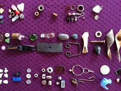نمونه‌هایی از هدیه دادن در دنیای حیوانات +عکس