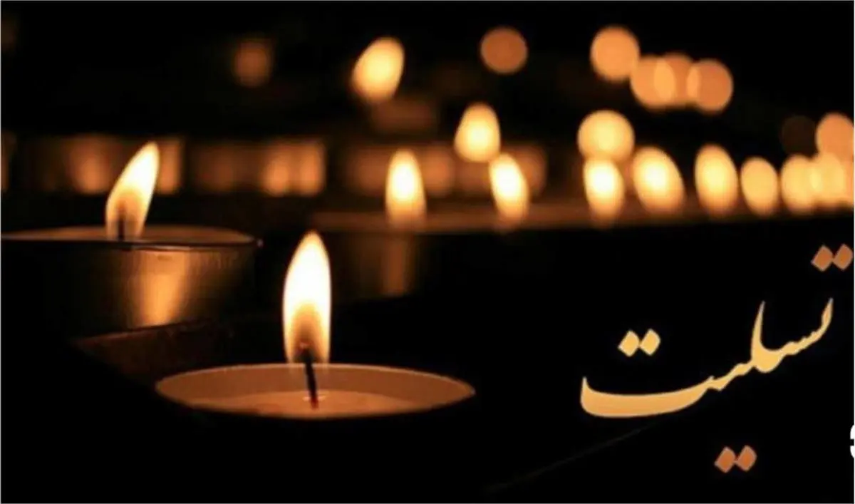 پیام تسلیت وزیر فرهنگ برای درگذشت آیت‌الله شیخ مجتبی بروجردی