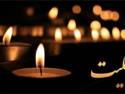 پیام تسلیت وزیر فرهنگ برای درگذشت آیت‌الله شیخ مجتبی بروجردی