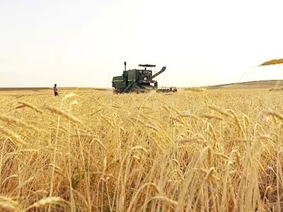 کاهش هزینه سفره مردم با خرید تضمینی و توزیع یارانه ای آرد گندم