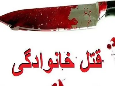 قتل مادر به دست فرزند در کهگیلویه و بویراحمد / جنایت به دلیل اختلافات خانوادگی