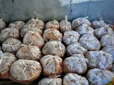 توقیف ۳.۵ تن کله و پاچه غیربهداشتی در شهرستان اصفهان