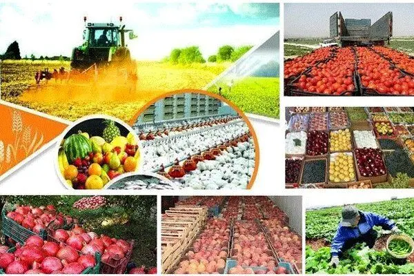 امنیت غذایی یکی از مهمترین ارکان توسعه کشور است