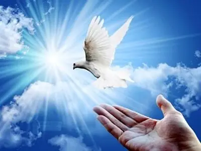 وقوع حادثه، سرکارگر یزدی را روانه زندان کرد/ نیاز به ۶۵ میلیون تومان برای آزادی از زندان