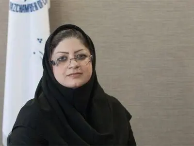 گران شدن حامل‌های انرژی بنگاه‌ها را به مرحله تعطیلی رسانده است