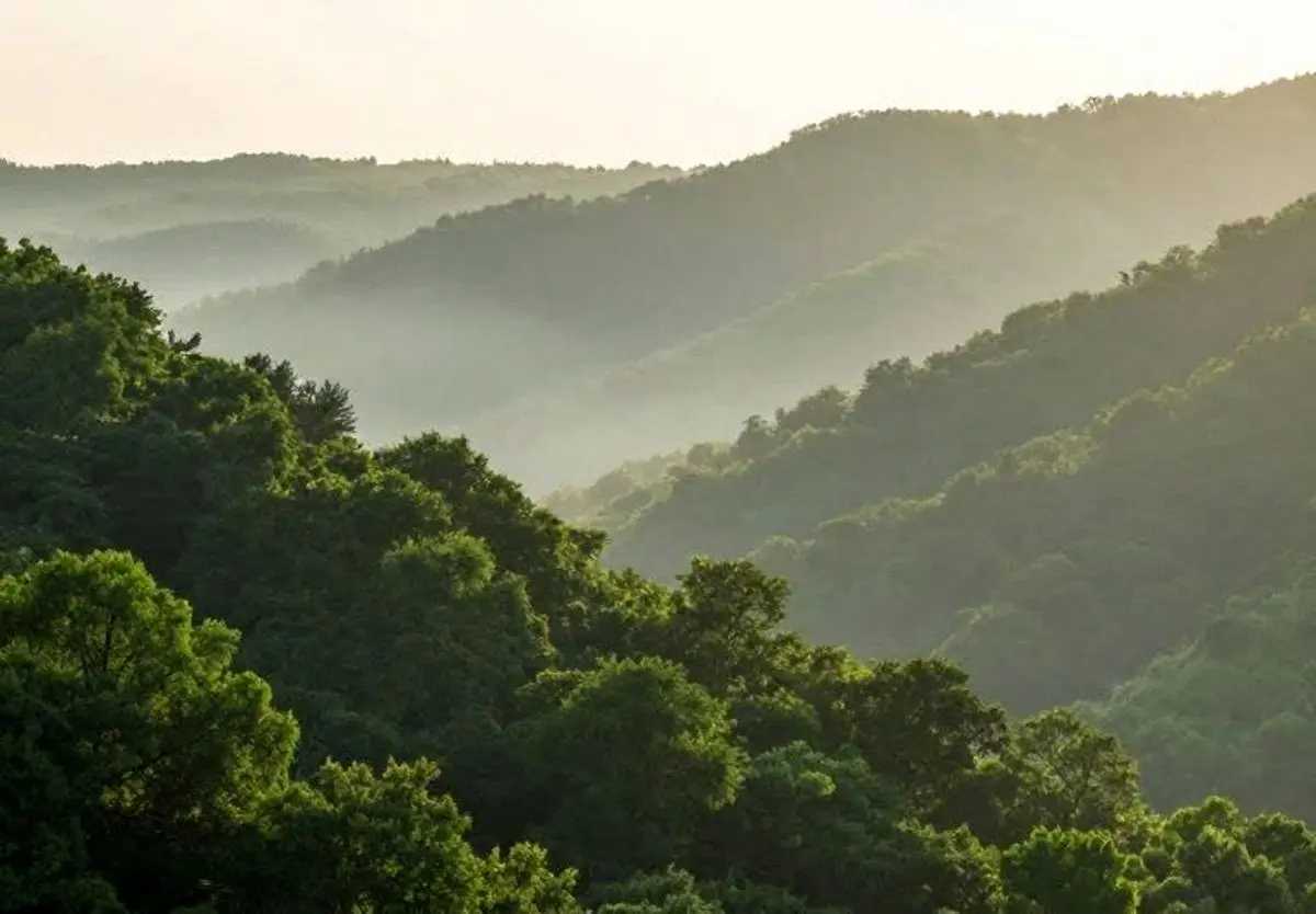برخورد قانونی با هرگونه تخلف در عرصه‌های طبیعی؛ از روشن کردن آتش خودداری کنید