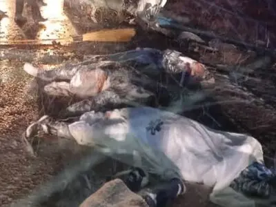 ۵ نفر در تصادف دو خودرو در جاده اشتهارد فوت کردند
