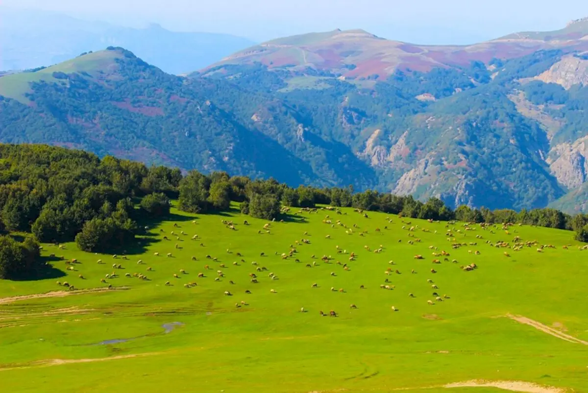 احداث بزرگترین پروژه گردشگری در نمین 