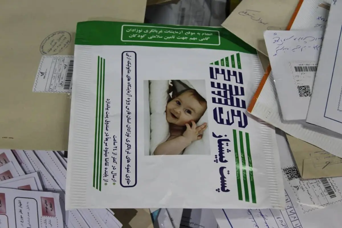 رتبه پنجم فارس درنامه نگاری و ارسال کارت پستال 