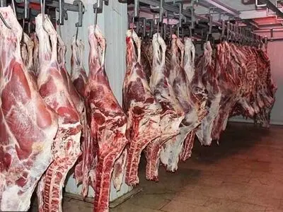 برنامه 5 ساله برای خوداتکایی در تولید گوشت قرمز/ دستیابی به دانش فنی خوراک کامل دام در موسسه تحقیقات علوم دامی