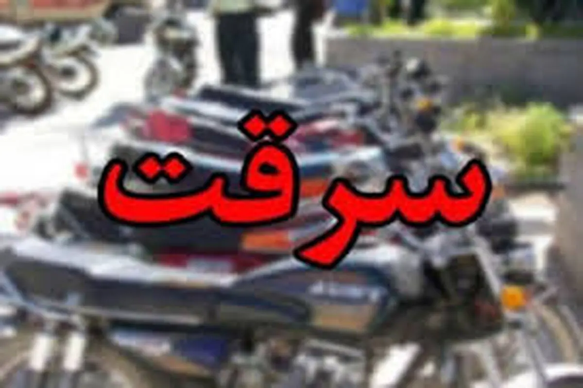 سرقت‌های سریالی از فروشگاه‌های لوازم خانگی در پوشش خریدار