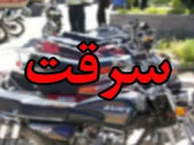 سرقت‌های سریالی از فروشگاه‌های لوازم خانگی در پوشش خریدار