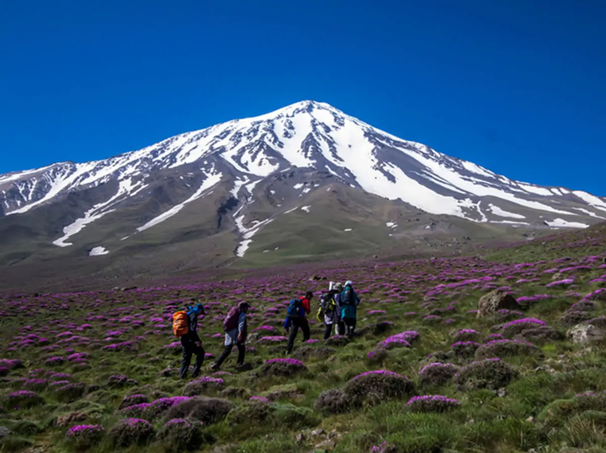 گروه‌های کوهنوردی مجوز برگزاری تورهای گردشگری را ندارند/ علاقمندان فریب گروه‌های سودجو را نخورند